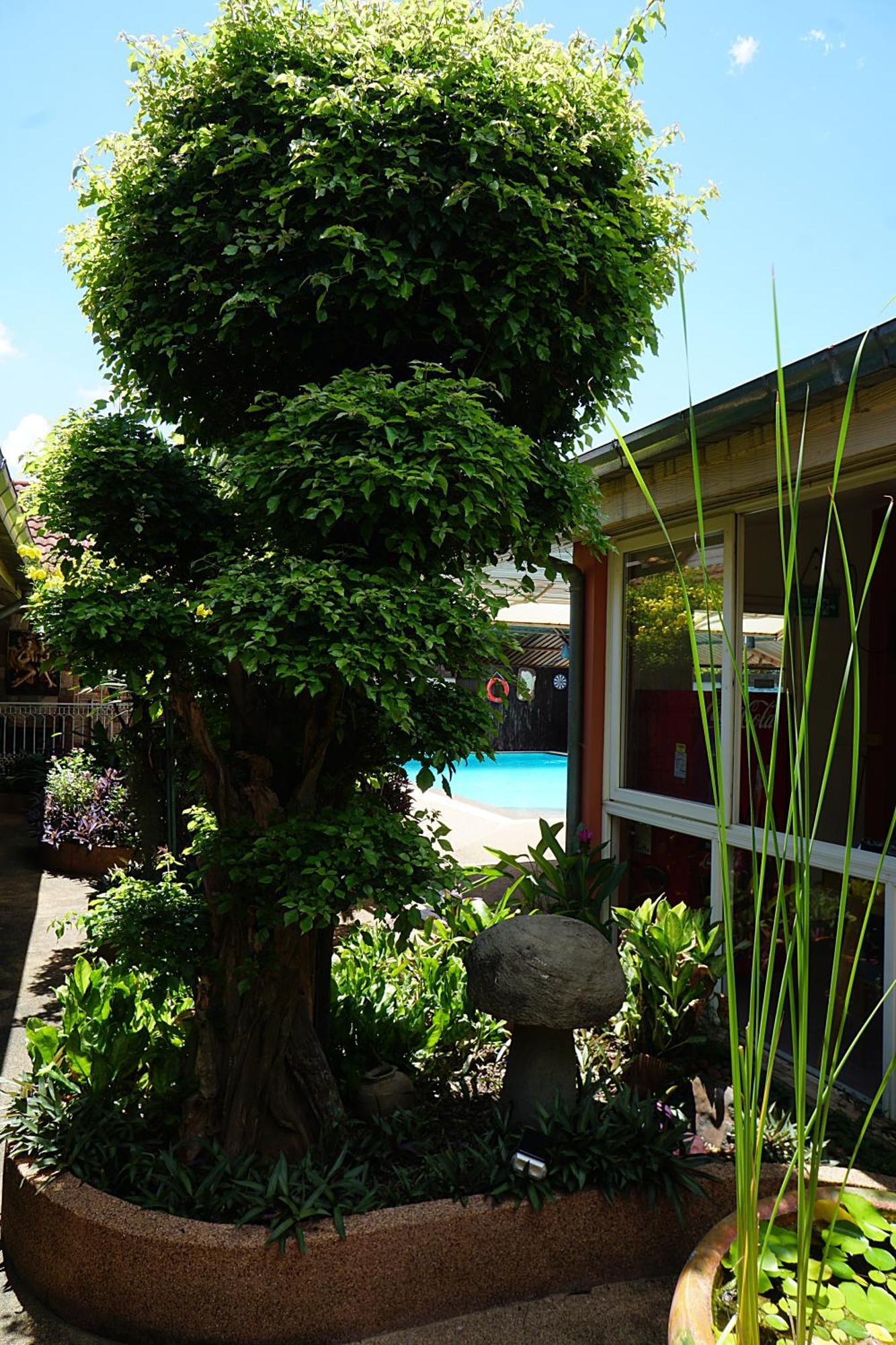 Udon Thai House Resort & Hotel Udon Thani Exterior foto